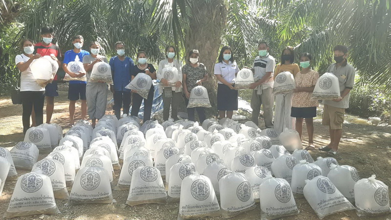 สนับสนุนพันธุ์ปลากินพืช โครงการเกษตรทฤษฎีใหม่ ปี 64 อำเภอบางแก้ว จังหวัดพัทลุง