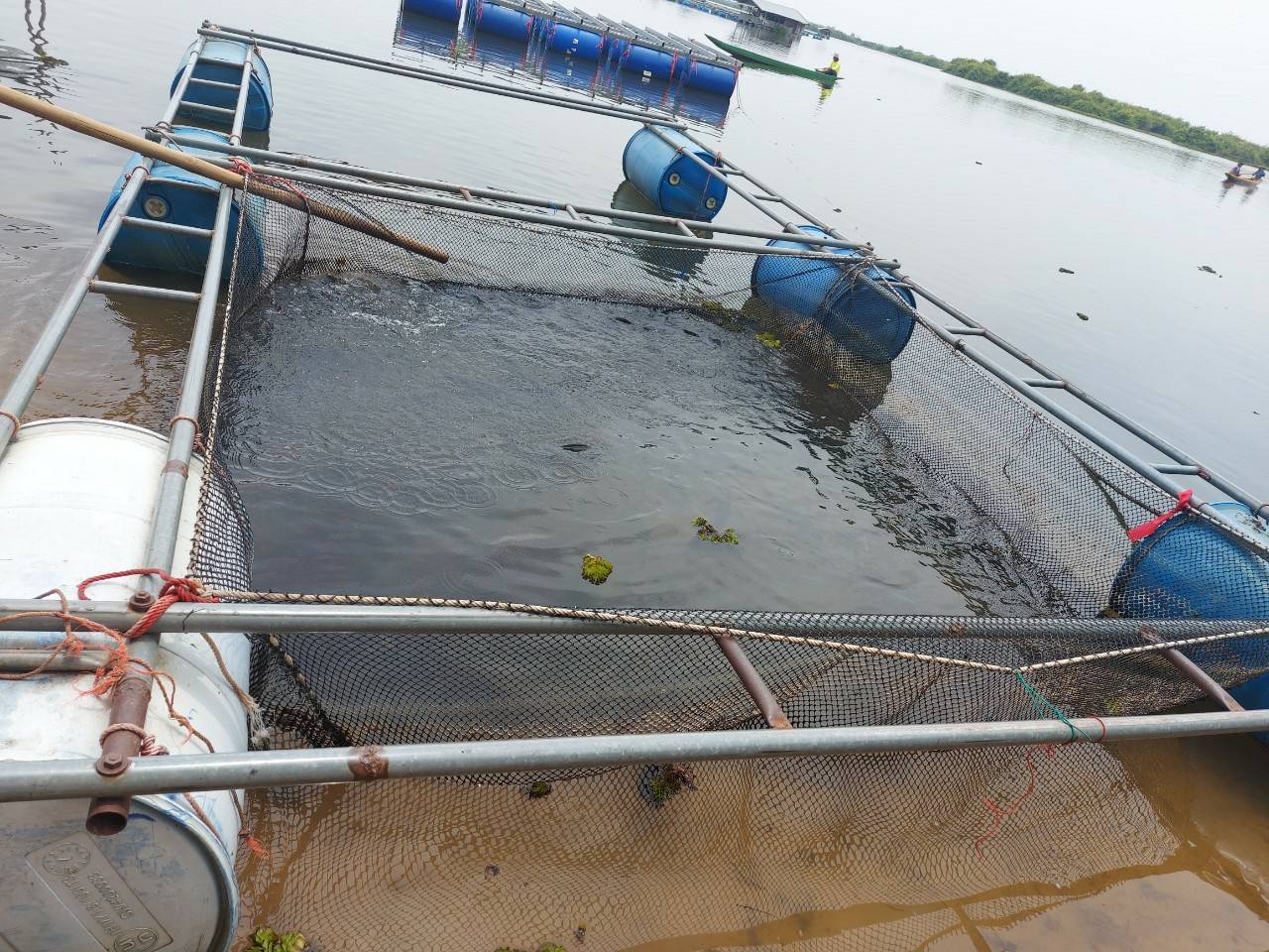 นายสุนทร รุ่งเรือง หัวหน้ากลุ่มบริหารจัดการด้านการประมง เข้าติดตามให้คำแนะนำโครงการธนาคารสินค้าเกษตร..คลิก