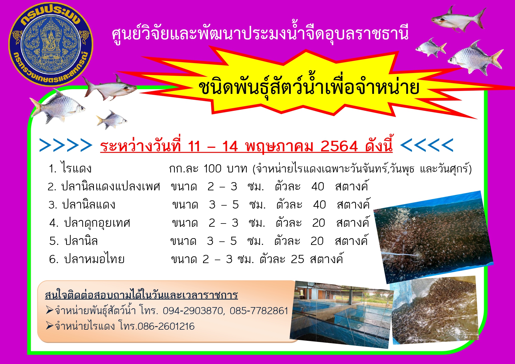ชนิดพันธุ์สัตว์น้ำเพื่อจำหน่าย ระหว่างวันที่ 11-14 พฤษภาคม 2564..คลิก