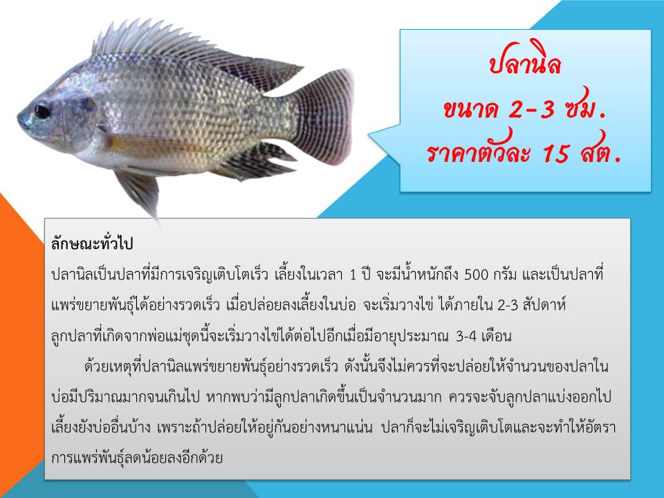 สามารถสอบถามข้อมูลหรือสั่งจองพันธุ์สัตว์น้ำ ผ่านทางโทรศัพท์ 039-510963 หรือ 098-5248813??