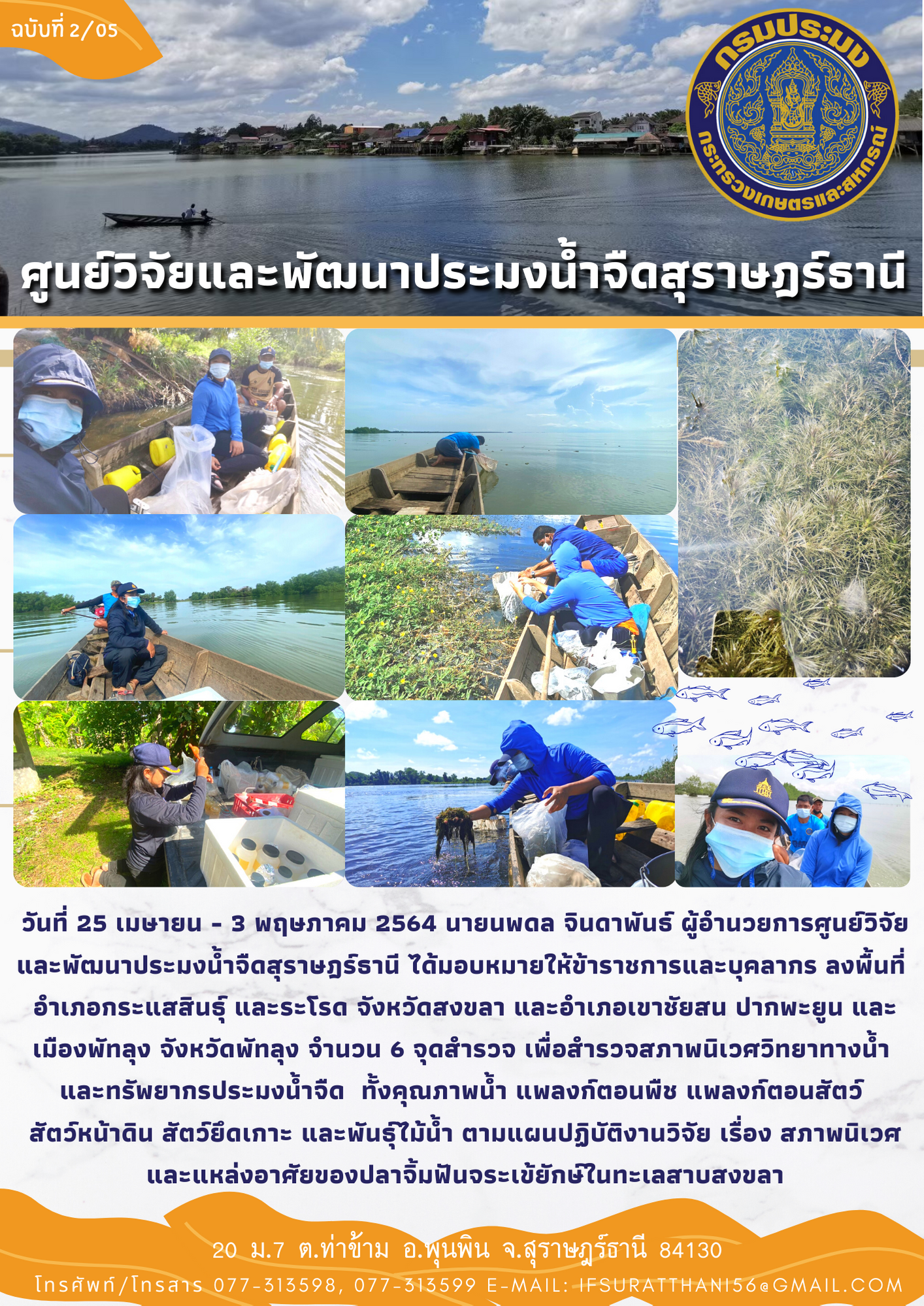 ศึกษาสภาพนิเวศและแหล่งอาศัยของปลาจิ้มฟันจระเข้ยักษ์ในทะเลสาบสงขลา