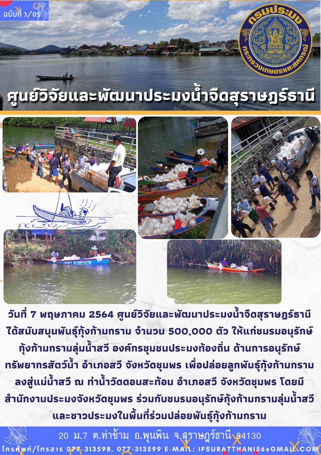 ปล่อยลูกพันธุ์กุ้งก้ามกรามลงสู่แม่น้ำสวี