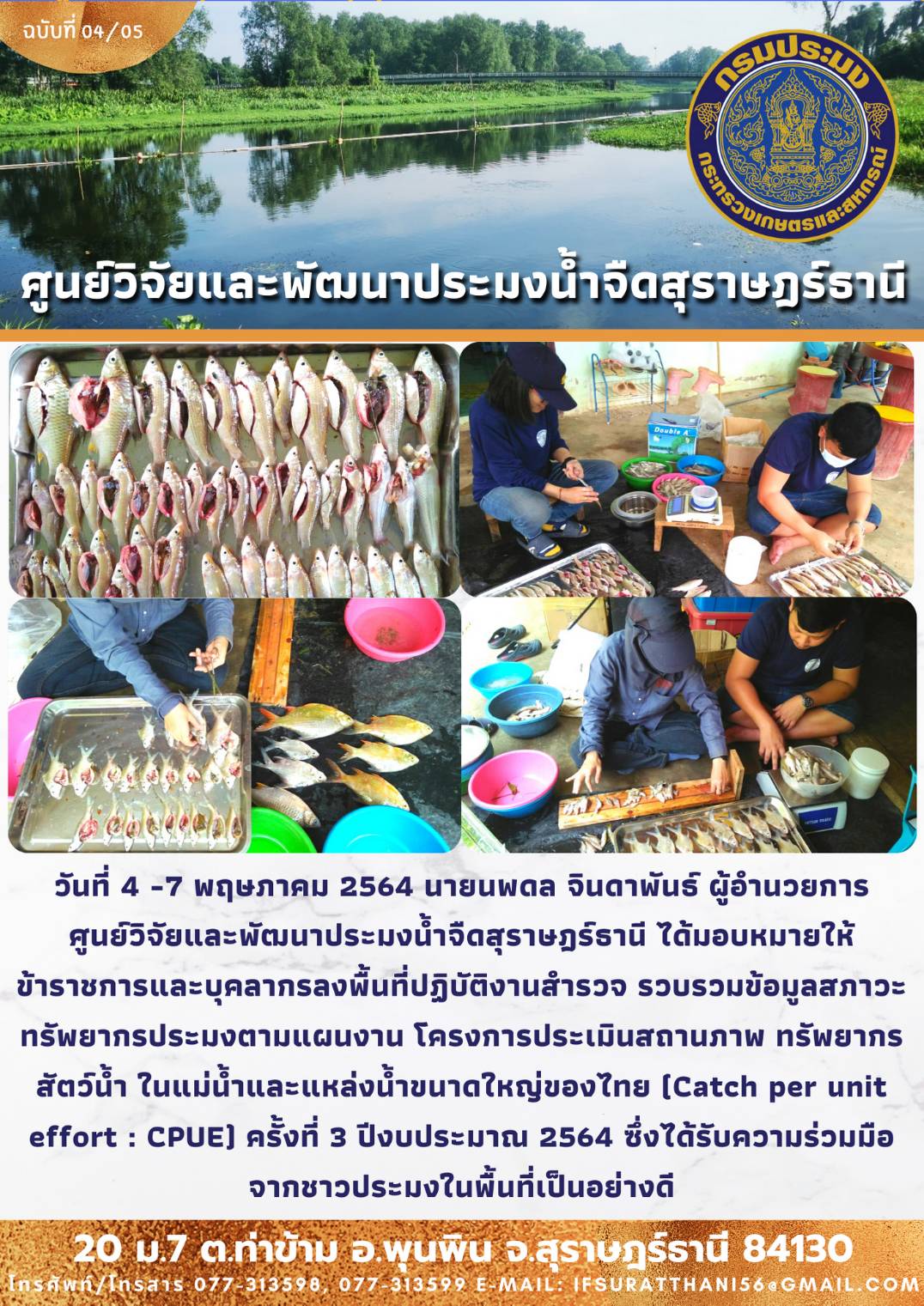 โครงการประเมินสถานภาพทรัพยากรสัตว์น้ำในแม่น้ำและแหล่งน้ำขนาดใหญ่ของไทย (Catch per unit effort : CPUE)