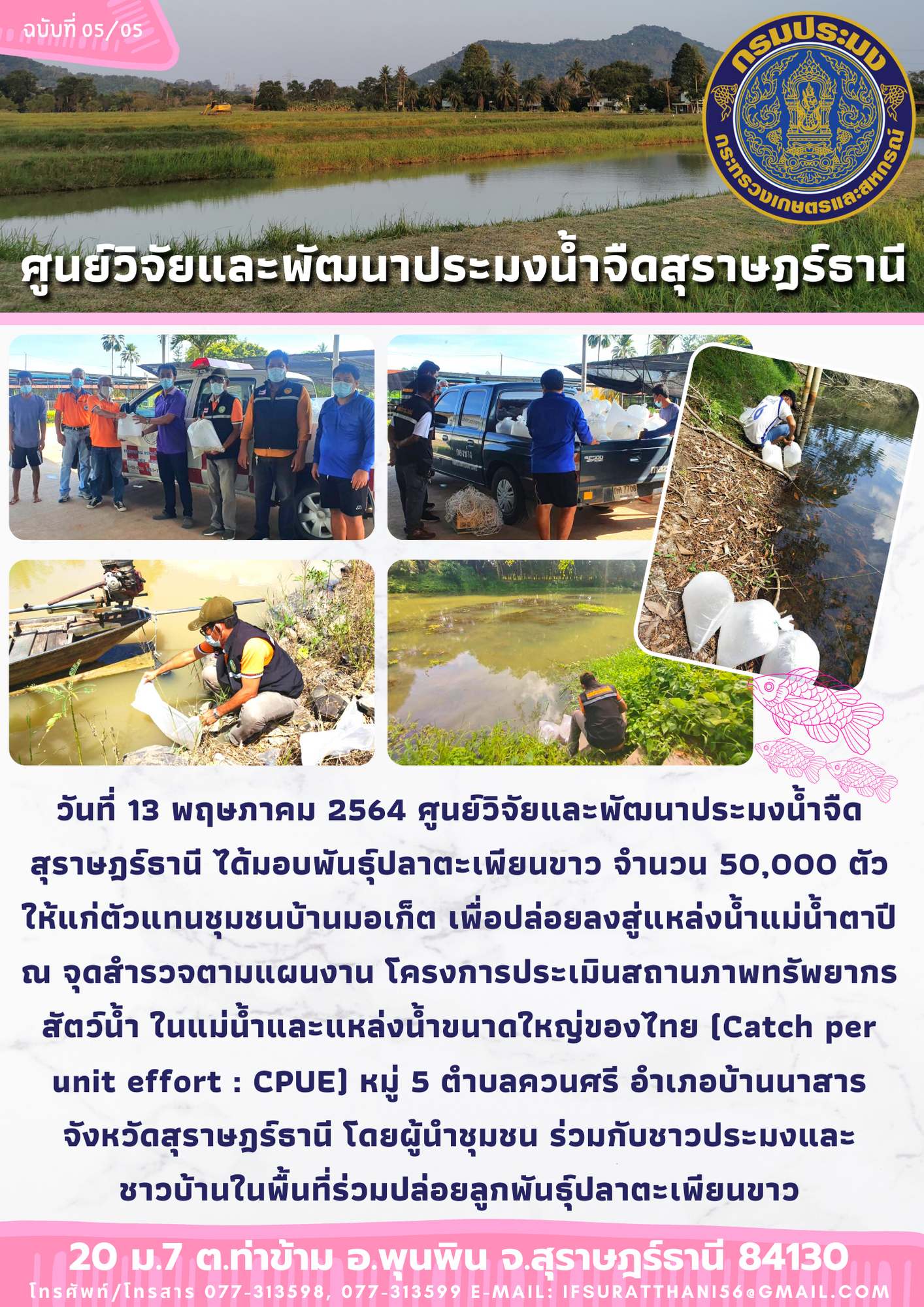 ปล่อยปลาตะเพียนขาวลงสู่แม่น้ำตาปี ณ จุด CPUE