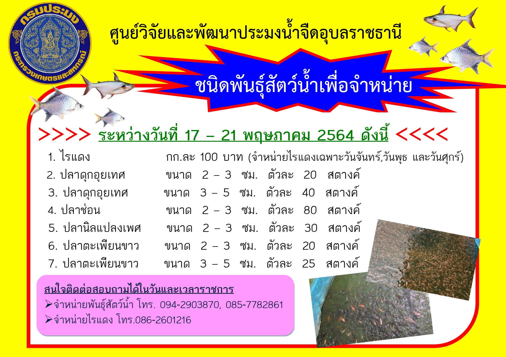 ชนิดพันธุ์สัตว์น้ำเพื่อจำหน่าย ระหว่างวันที่ 17-21 พฤษภาคม 2564..คลิก