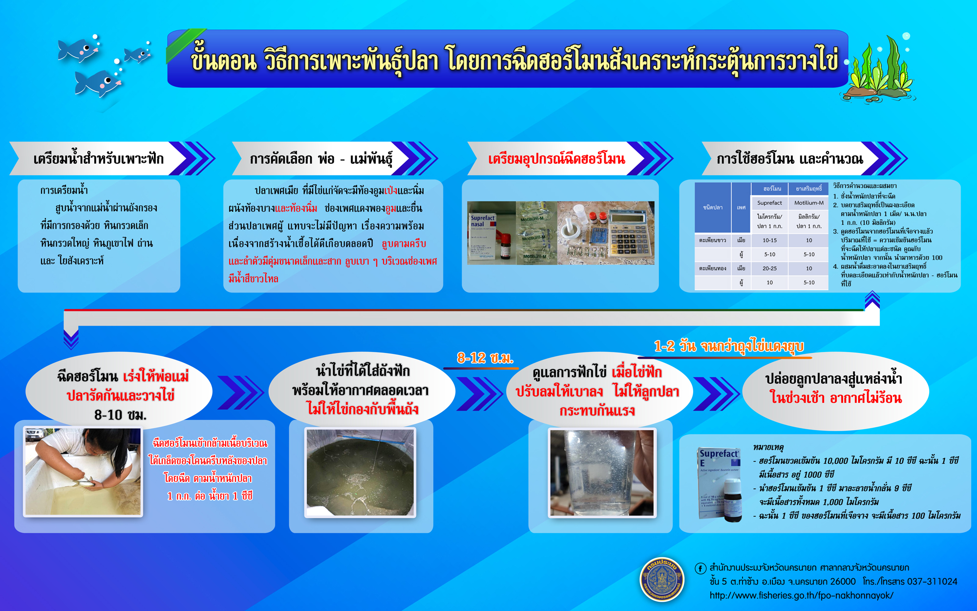 ขั้นตอน วิธีการเพาะพันธุ์ปลา โดยการฉีดฮอร์โมนสังเคราะห์กระตุ้นการวางไข่..คลิก