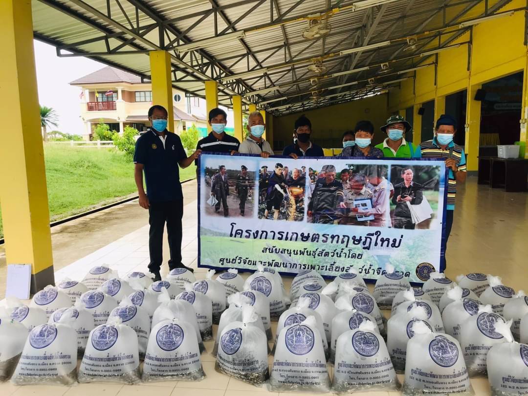 สนับสนุนพันธุ์สัตว์น้ำโครงการส่งเสริมเกษตรทฤษฎีใหม่ด้านการประมง ปีงบประมาณ ๒๕๖๔