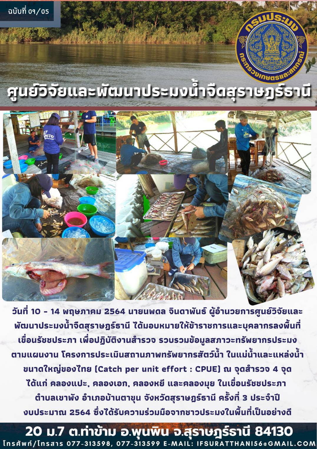 ปฏิบัติงานสำรวจ รวบรวมข้อมูลสภาวะทรัพยากรประมงตามแผนงานโครงการประเมินสถานภาพทรัพยากรสัตว์น้ำ ในแม่น้ำและแหล่งน้ำขนาดใหญ่ของไทย (Catch per unit effort : CPUE) ณ เขื่อนรัชชประภา