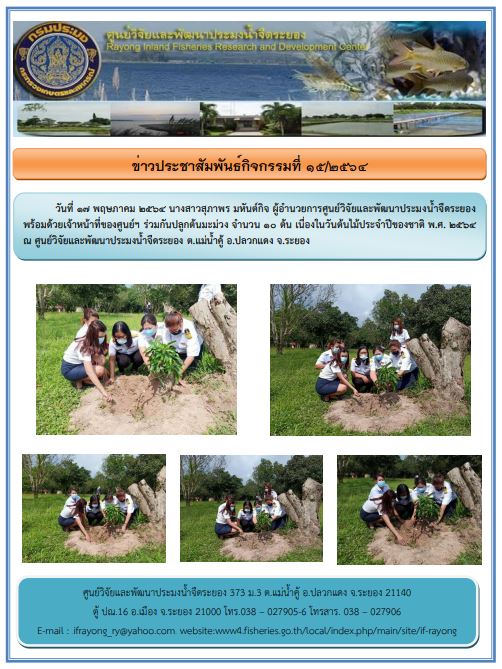 ข่าวประชาสัมพันธ์ฉบับที่ 15/2564..คลิก