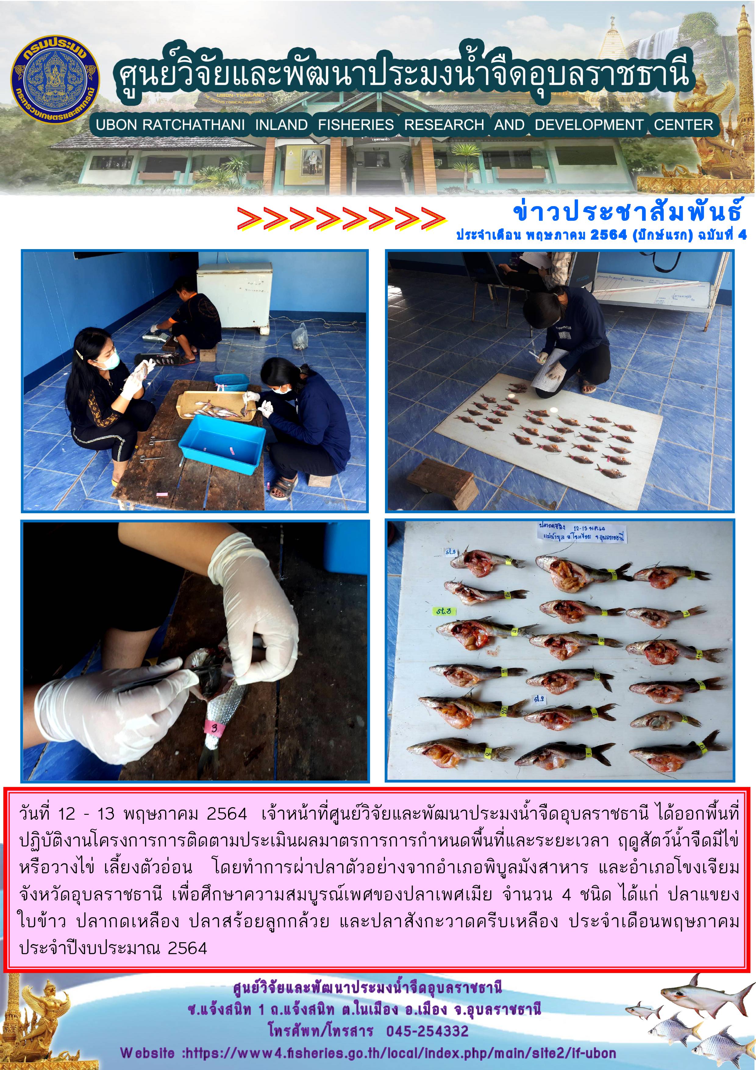 ข่าวประชาสัมพันธ์ ประจำเดือน พฤษภาคม 2564 (ปักษ์แรก) ฉบับที่ 4..คลิก