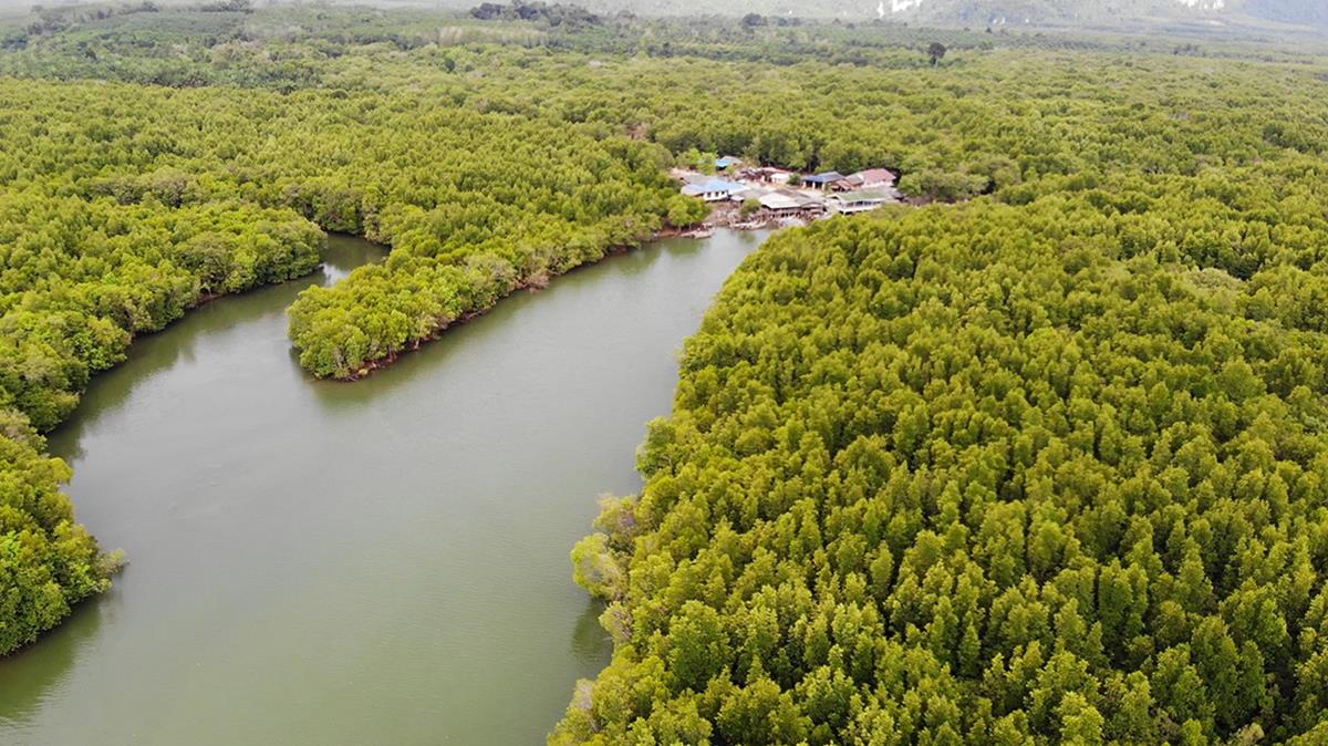 โครงการ Fisherman’s Village Resort  ชุมชนท่องเที่ยวบ้านไหนหนัง จังหวัดกระบี่ (Fisherman’s Village Resort)..คลิก