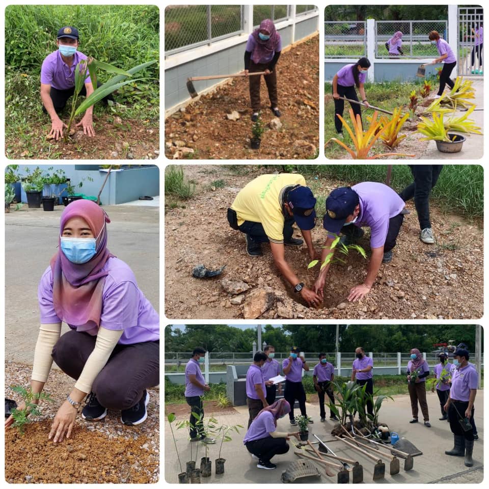 วันที่ 19 พฤษภาคม 2564 : รวมใจไทย ปลูกต้นไม้ เพื่อแผ่นดิน..คลิก