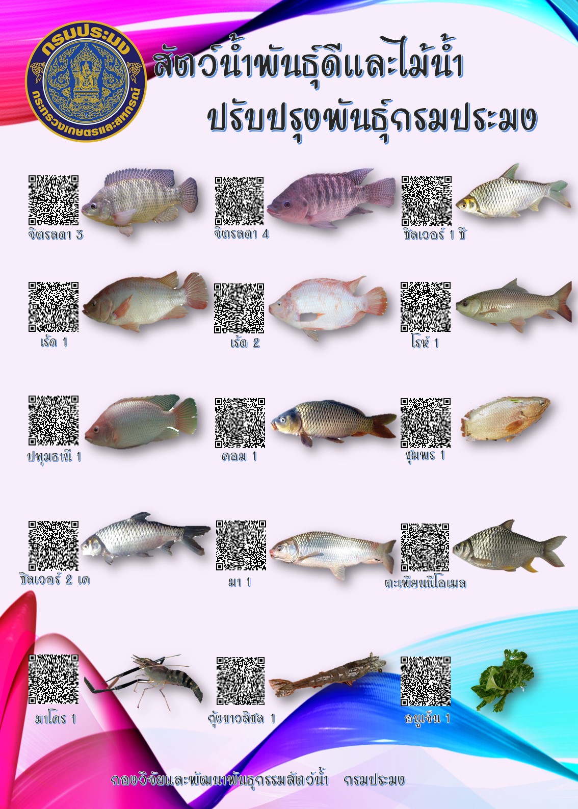 สัตว์น้ำพันธุ์ดีและไม้น้ำปรับปรุงพันธุ์กรมประมง..คลิก