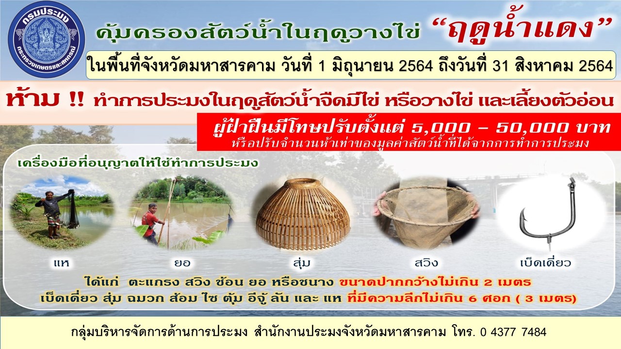 มาตรการคุ้มครองสัตว์น้ำจืดมีไข่ วางไข่ เลี้ยงตัวอ่อน ประจำปี 2564-2565..คลิก