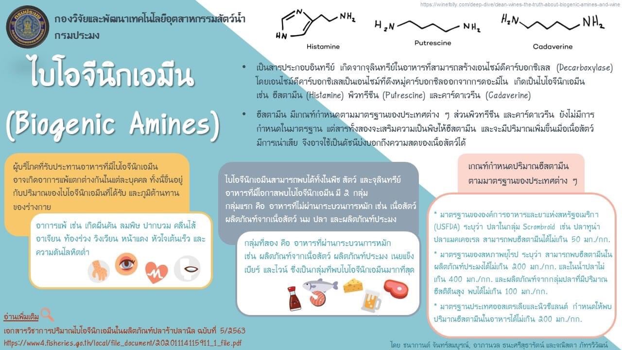 ไบโอจินิกเอมีน (Biogenic Amines)