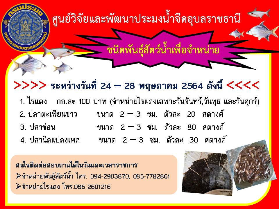 ชนิดพันธุ์สัตว์น้ำเพื่อจำหน่าย ระหว่างวันที่ 24-28 พฤษภาคม 2564..คลิก