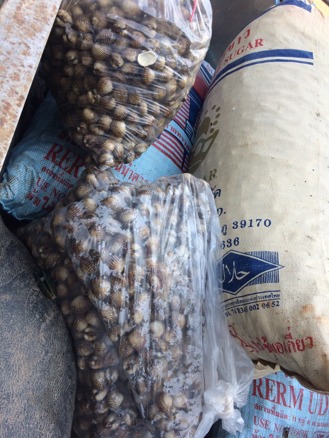 ตรวจสอบสินค้าประมง ส่งออกไปยัง สปป.ลาว..คลิก