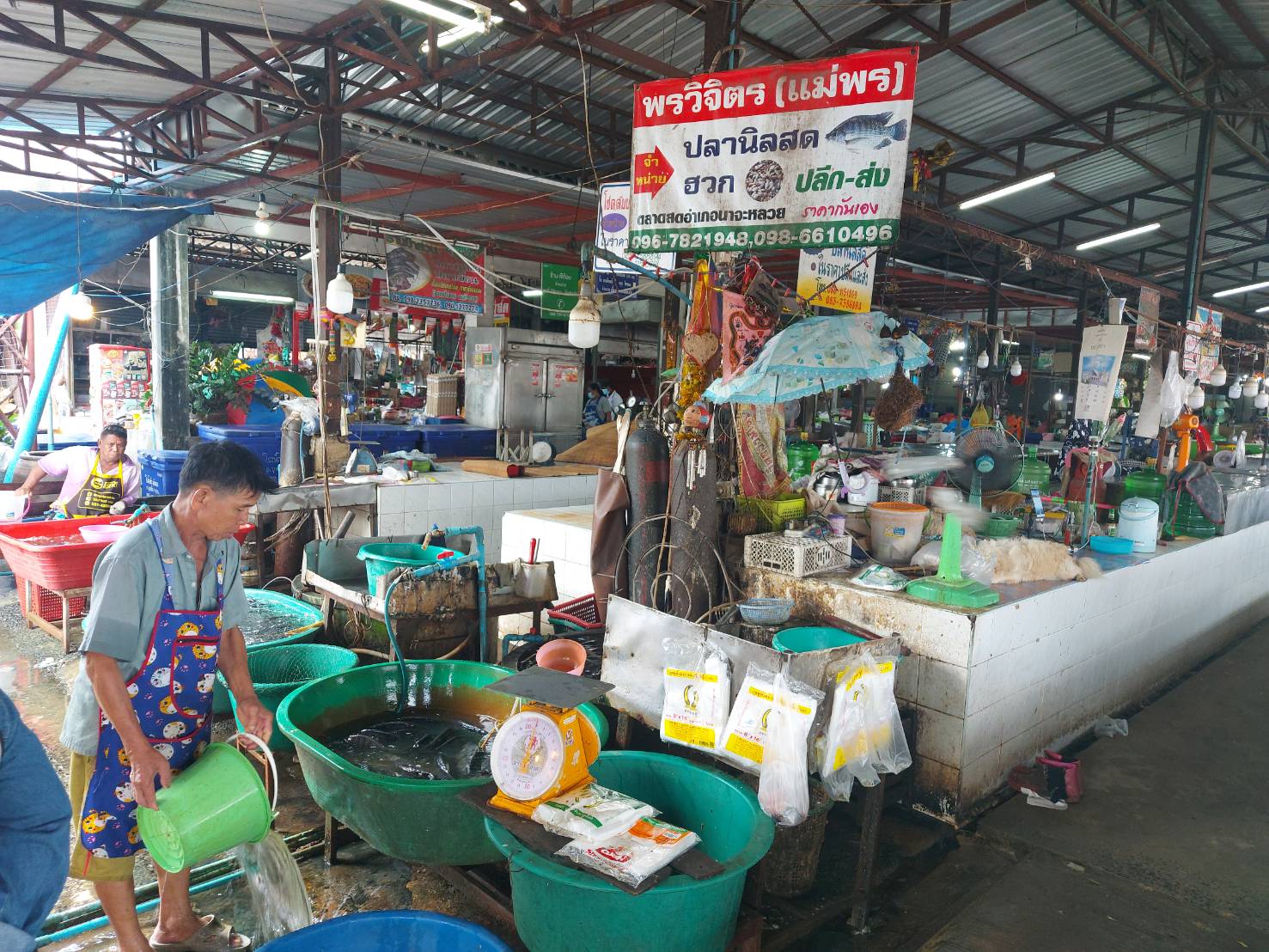 ประมงอำเภอนาจะหลวยสำรวจข้อมูลตลาดสินค้าสัตว์น้ำจากการเพาะเลี้ยงสัตว์น้ำ ตลาดสดเทศบาลอำเภอนาจะหลวย จังหวัดอุบลราชธานี..คลิก