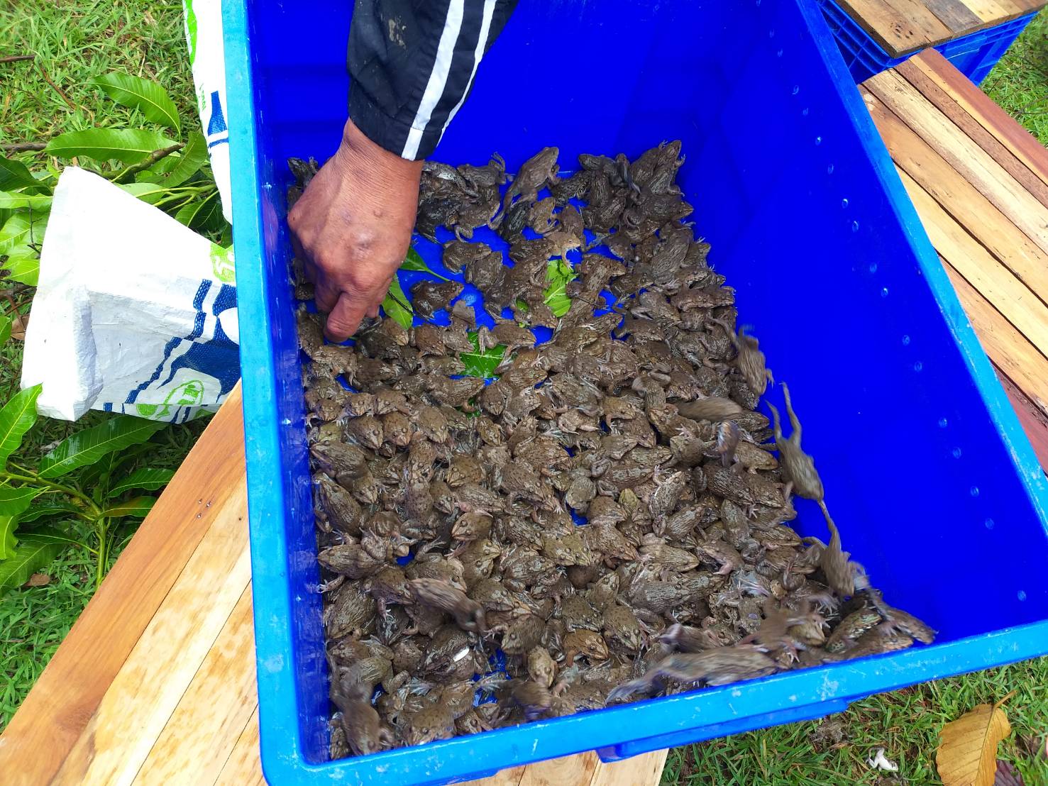 ตรวจสอบสินค้าประมง ส่งออกไปยัง สปป.ลาว..คลิก