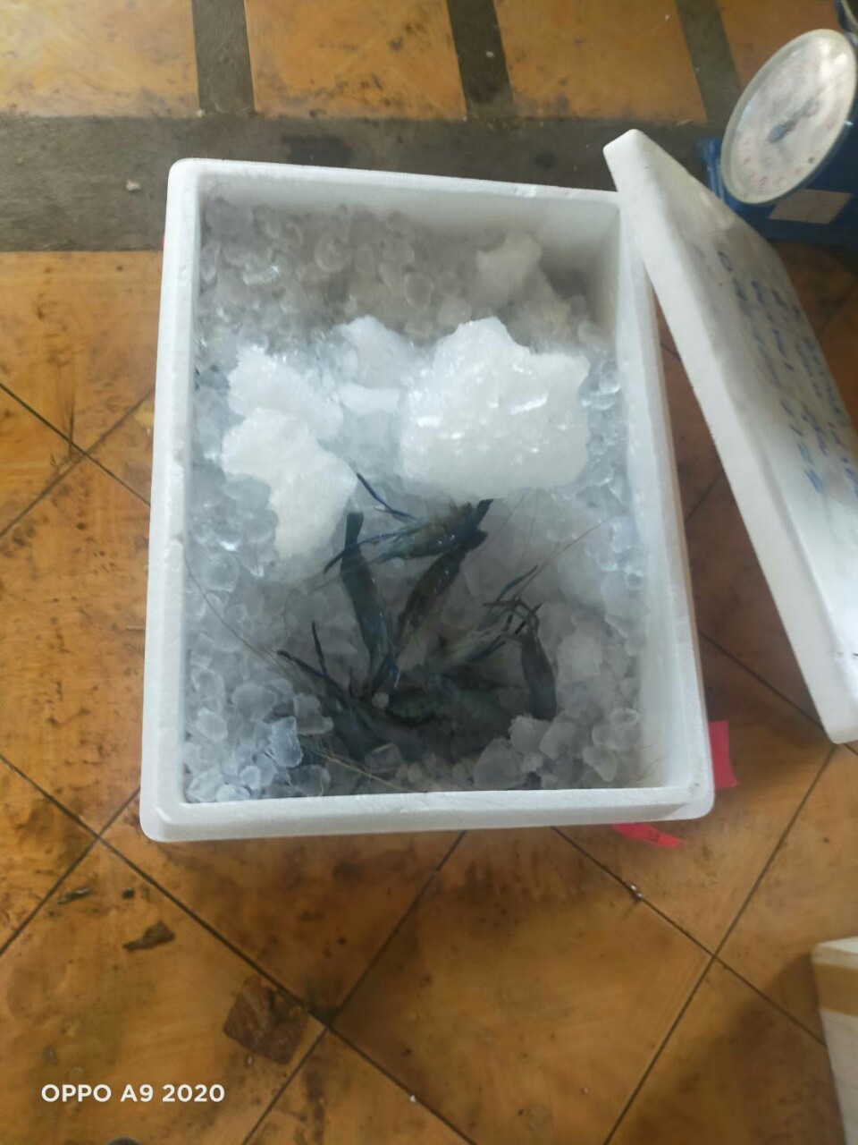 ตรวจสอบสินค้าส่งออก..คลิก