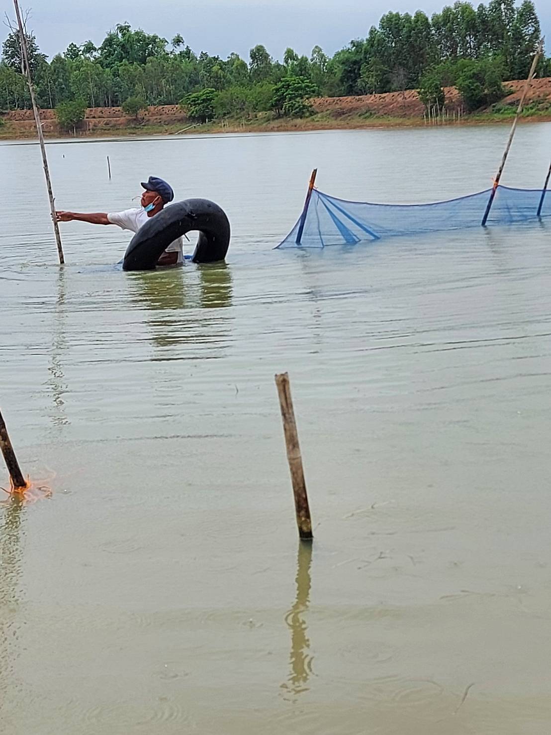 ธนาคารสินค้าเกษตรฯ อ่างเก็บน้ำห้วยบุญทัน  ร่วมกันจัดทำคอกอนุบาลลูกปลา และกระชังอนุบาลลูกปลา คอกปลา เพื่อเตรียมความพร้อม ในการอนุบาลและเลี้ยงปลา ปี 2564..คลิก