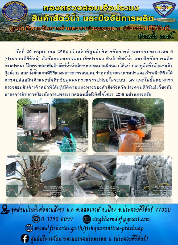 สินค้าสัตว์น้ำนำเข้าจากประเทศเมียนมา..คลิก
