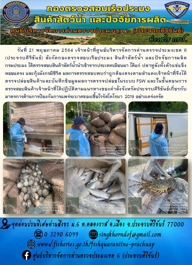 สินค้าสัตว์น้ำนำเข้าจากประเทศเมียนมา..คลิก