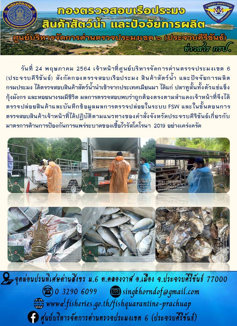 สินค้าสัตว์น้ำนำเข้าจากประเทศเมียนมา..คลิก
