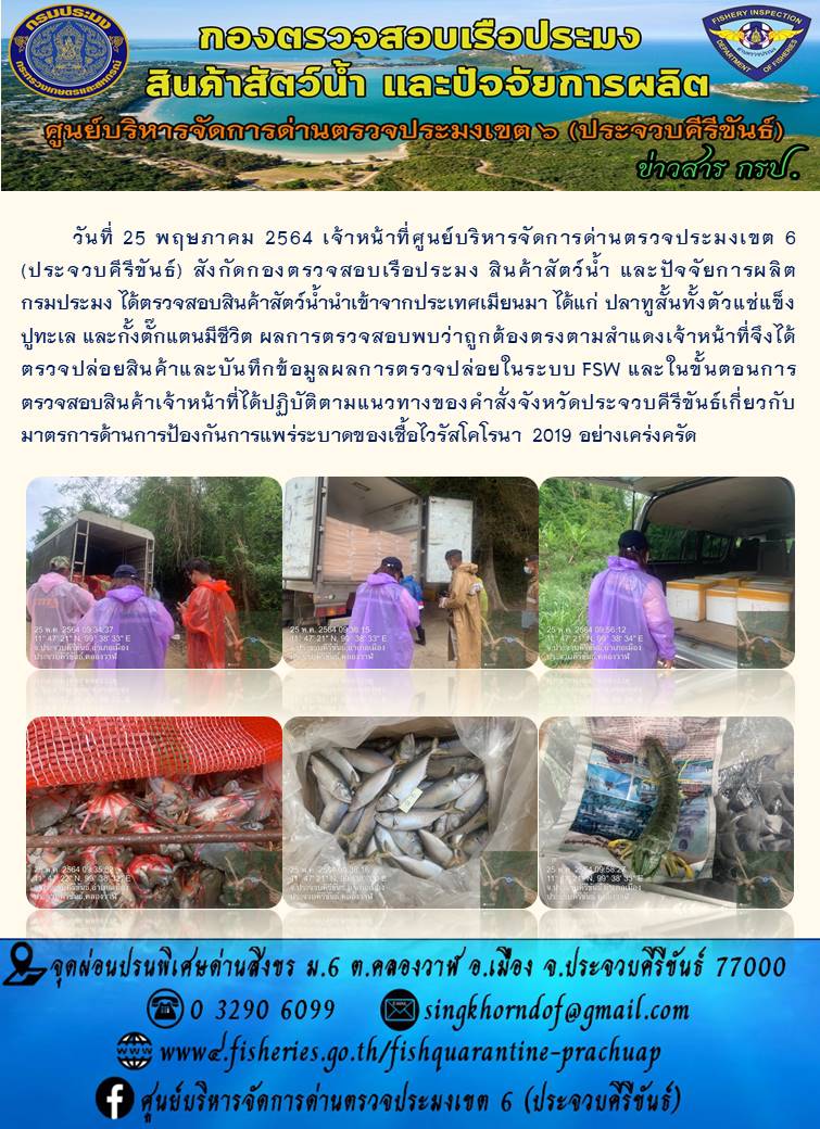 สินค้าสัตว์น้ำนำเข้าจากประเทศเมียนมา..คลิก