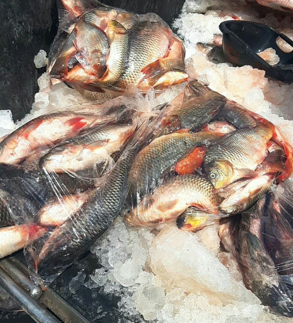 ตรวจสอบสินค้าส่งออก..คลิก