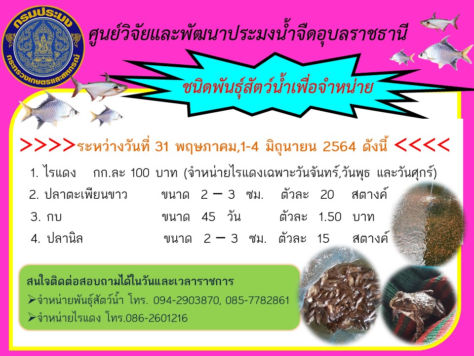 ชนิดพันธุ์สัตว์น้ำเพื่อจำหน่าย ระหว่างวันที่  31 พฤษภาคม 2564 ถึง 1-4 มิถุนายน 2564..คลิก