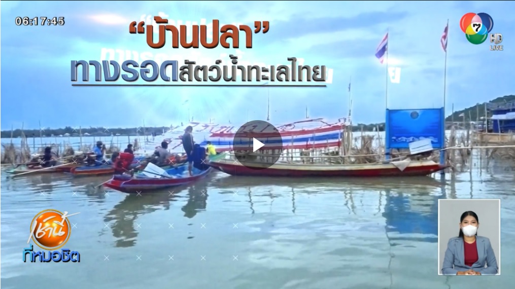 Green Report : บ้านปลา ทางรอดสัตว์น้ำทะเลไทย..คลิก