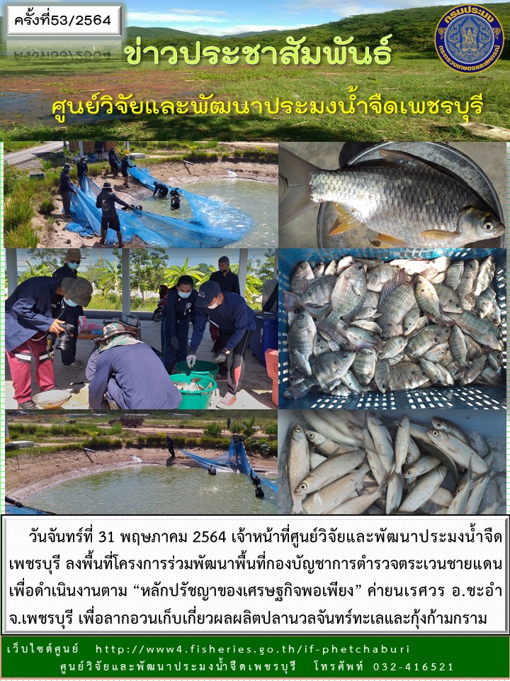 ข่าวประชาสัมพันธ์ครั้งที่ 53/2564