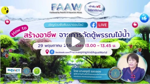 Rerun ซีรีส์สัมมนาออนไลน์ #3 “How To! สร้างอาชีพจากการจัดตู้พรรณไม้น้ำ ตอน 1”..คลิก