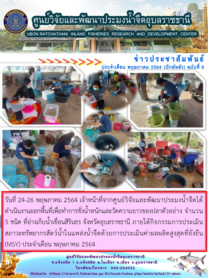 ข่าวประชาสัมพันธ์ ประจำเดือน พฤษภาคม 2564 (ปักษ์หลัง) ฉบับที่ 8..คลิก