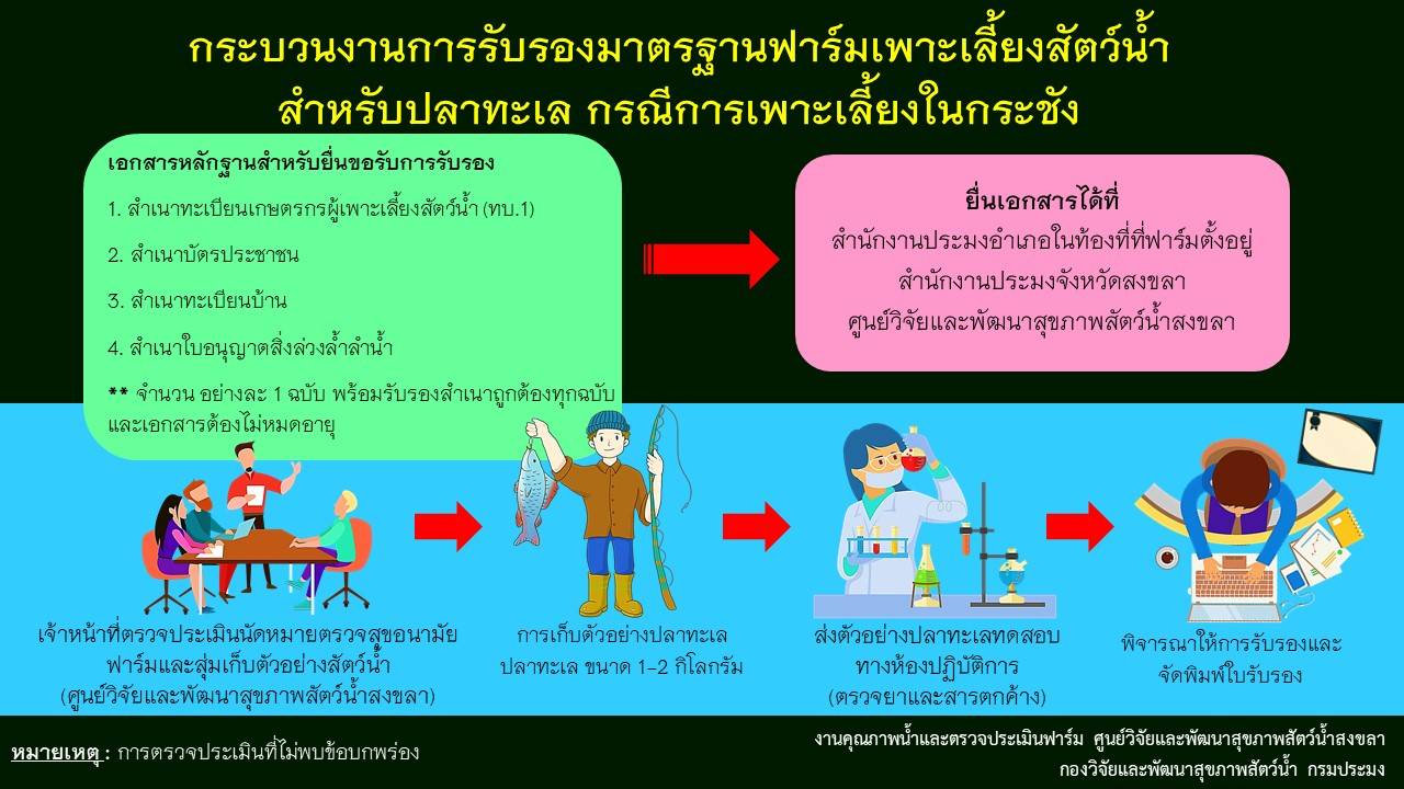 ประกาศ  กระบวนงานการรับรองมาตรฐานฟาร์มเพาะเลี้ยงสัตว์น้ำ  สำหรับปลาทะเล กรณีการเพาะเลี้ยงในกระชัง..คลิก