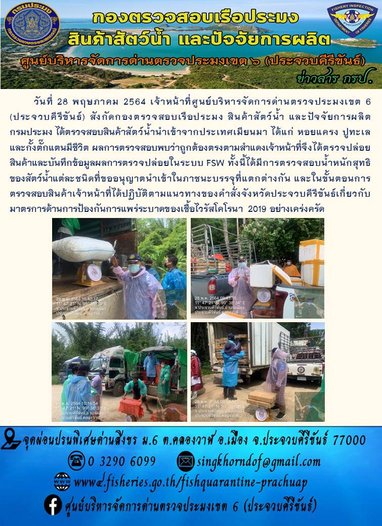 สินค้าสัตว์น้ำนำเข้าจากประเทศเมียนมา..คลิก