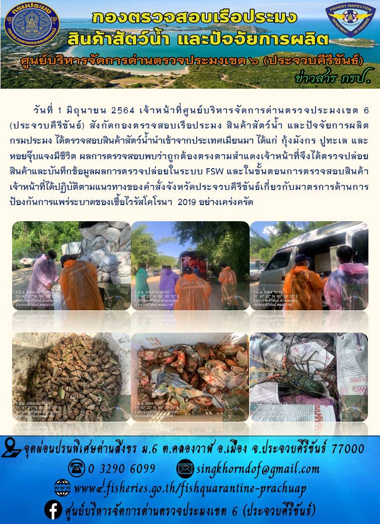 สินค้าสัตว์น้ำนำเข้าจากประเทศเมียนมา..คลิก
