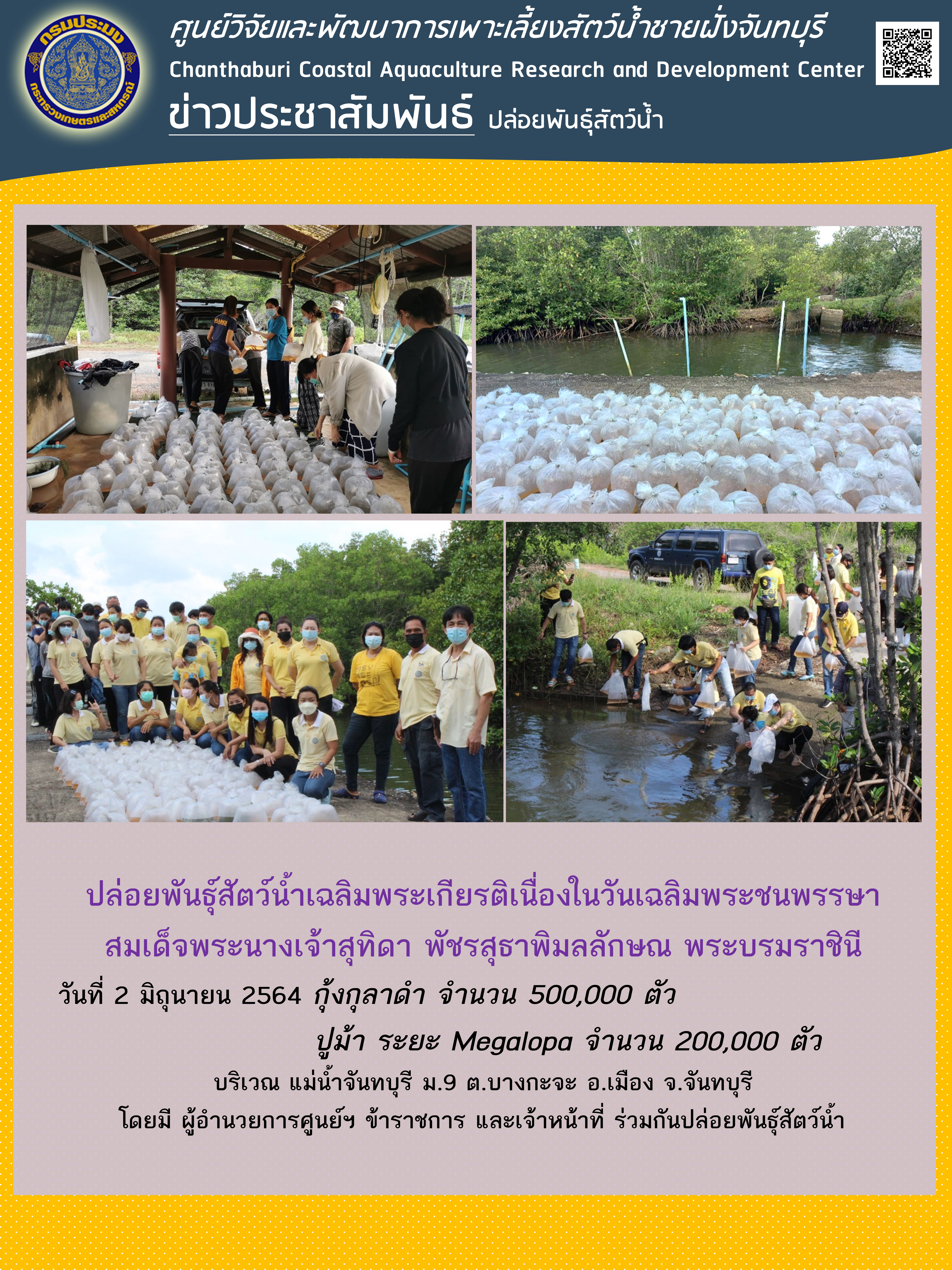 ศูนย์วิจัยและพัฒนาการเพาะเลี้ยงสัตว์น้ำชายฝั่งจันทบุรี ปล่อยพันธุ์สัตว์น้ำเพื่อเฉลิมพระเกียรติเนื่องในวันเฉลิมพระชนพรรษา สมเด็จพระนางเจ้าสุทิดา พัชรสุธาพิมลลักษณ พระบรมราชินี..คลิก