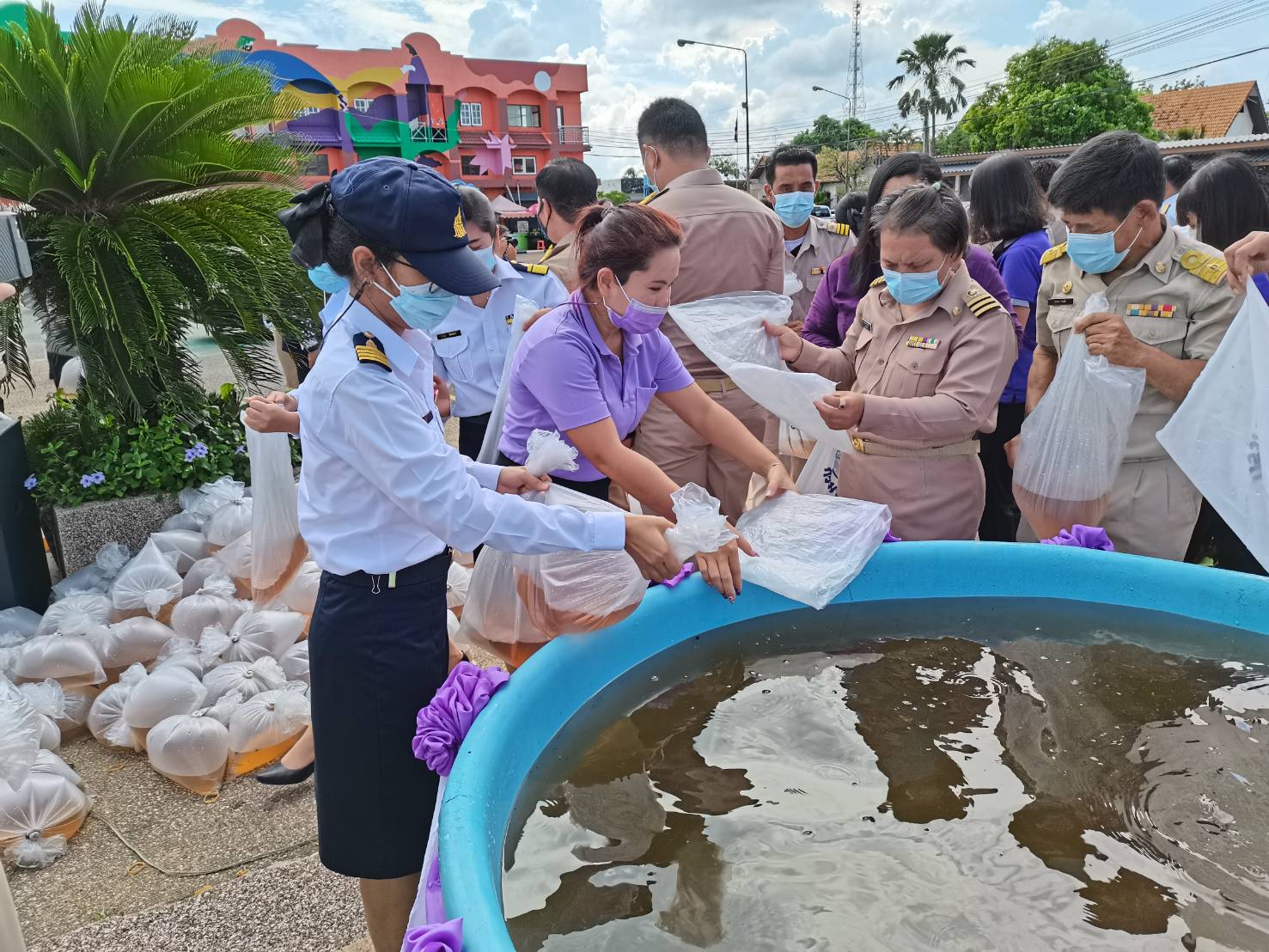 ปล่อยพันธุ์สัตว์น้ำ เพื่อเฉลิมพระเกียรติถวายเป็นพระราชกุศล เนื่องในโอกาสวันเฉลิมพระชนมพรรษา สมเด็จพระนางเจ้าสุทิดา พัชรสุธาพิมลลักษณ พระบรมราชินี..คลิก