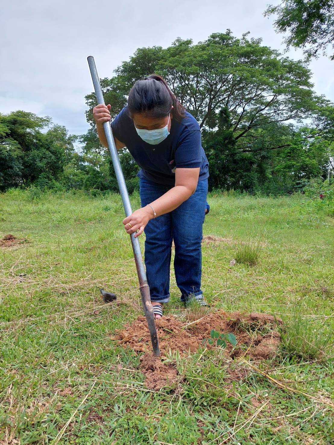 สำนักงานประมงจังหวัดศรีสะเกษ ร่วมกันป่าปลูกต้นไม้เพื่อสร้างร่มเงา และภูมิทัศน์ที่ดีบริเวณ สำนักงานประมงจังหวัดศรีสะเกษ..คลิก