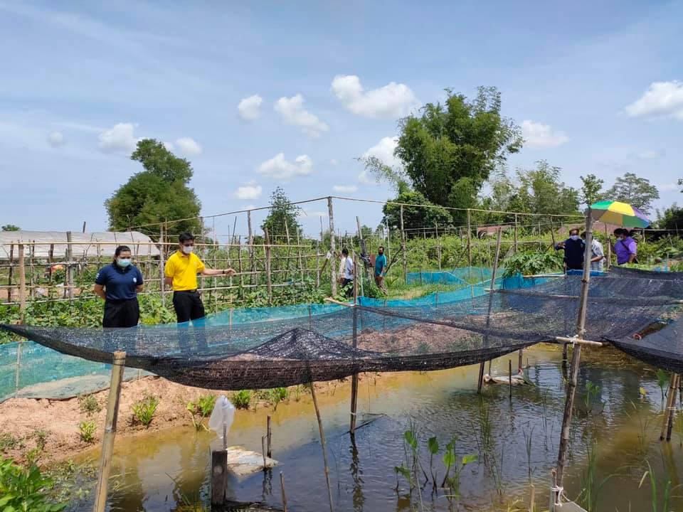 แปลงใหญ่ปลาตะเพียน จ. นครพนม กับความร่วมมือของชุมชนบ้านหนองฮี สู่ความยั่งยืน..คลิก