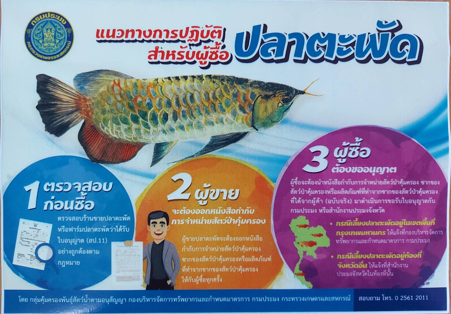 ประชาสัมพันธ์ แนวทางปฏิบัติ หากจะซื้อปลาตะพัดมาเลี้ยง..คลิก