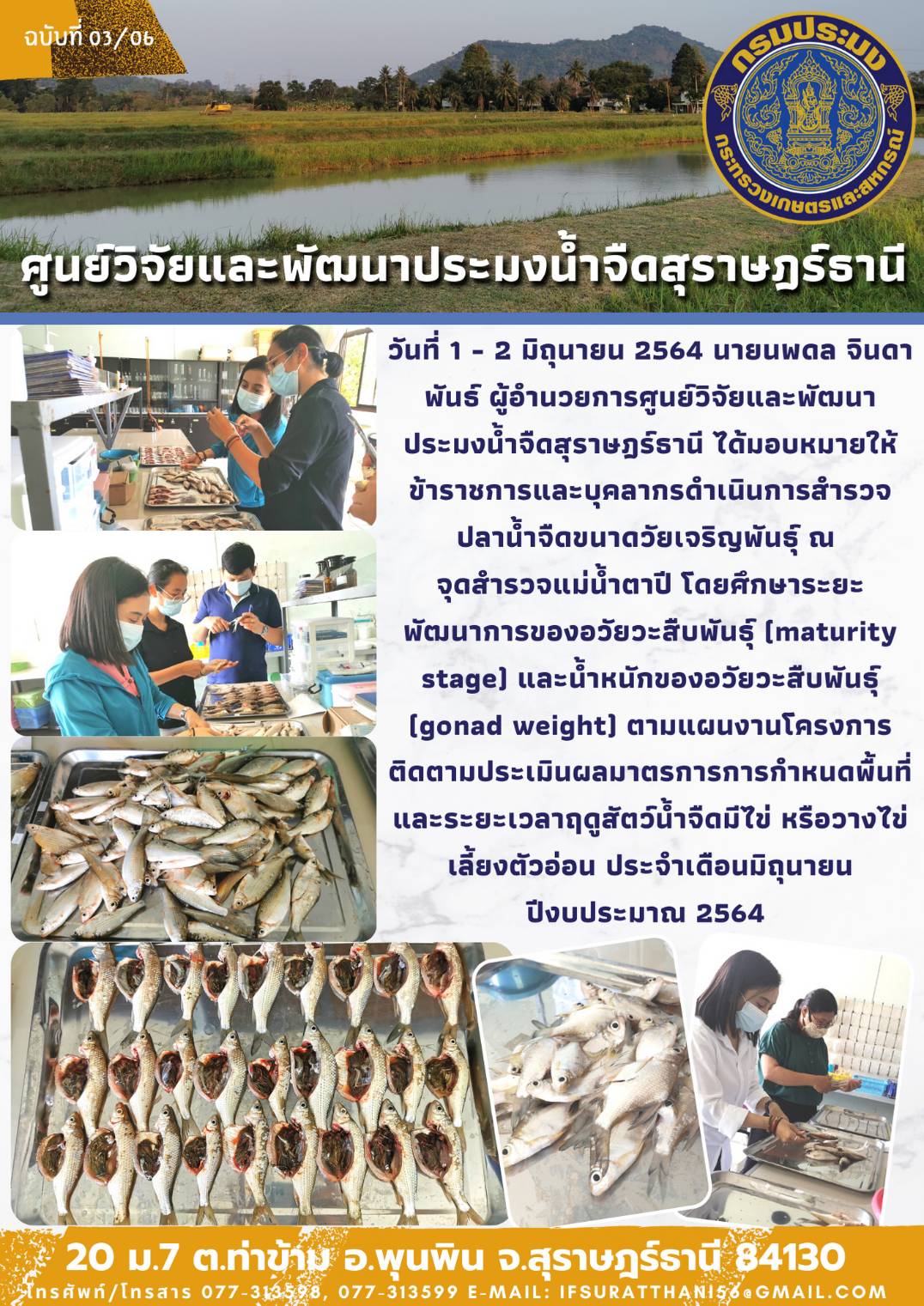 ศึกษาระยะพัฒนาการของอวัยวะสืบพันธุ์ (maturity stage) และน้ำหนักของอวัยวะสืบพันธุ์ (gonad weight) ตามแผนงานโครงการติดตามประเมินผลมาตรการการกำหนดพื้นที่ และระยะเวลาฤดูสัตว์น้ำจืดมีไข่ หรือวางไข่เลี้ยงตัวอ่อน ประจำเดือนมิถุนายน ปีงบประมาณ 2564