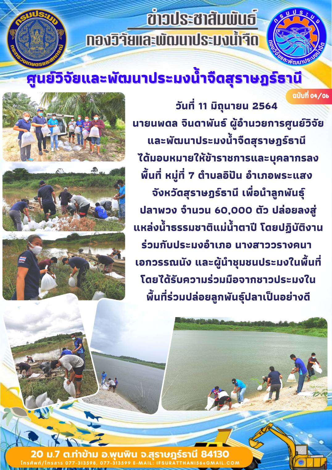 ปล่อยปลาพวงแม่น้ำตาปี