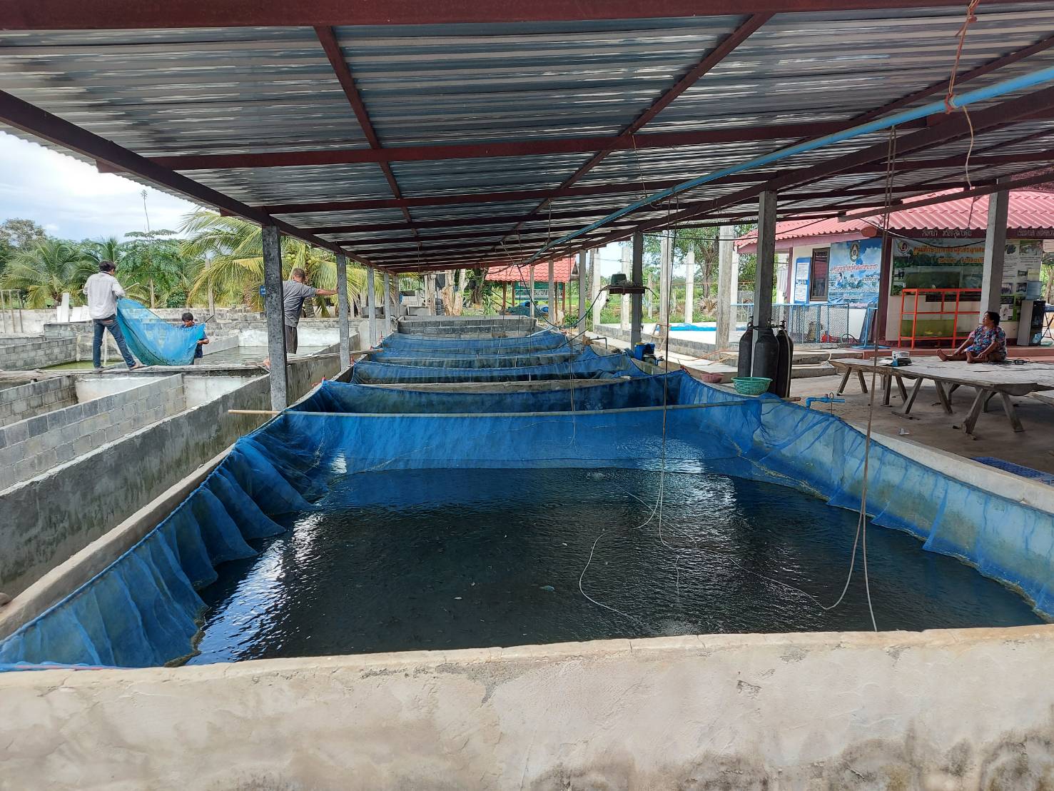 ประมงอำเภอนาจะหลวย เยี่ยมเยียน ติดตามและสอบถามข้อมูลเพื่อประกอบการคัดเลือกเกษตรกรดีเด่นด้านการประมง เกษตรกรราย นายวาสนา สายสมบัติ และพูดคุยแลกเปลี่ยนความรู้ด้านประมงกับนายบัวพา  สายสมบัติ..คลิก