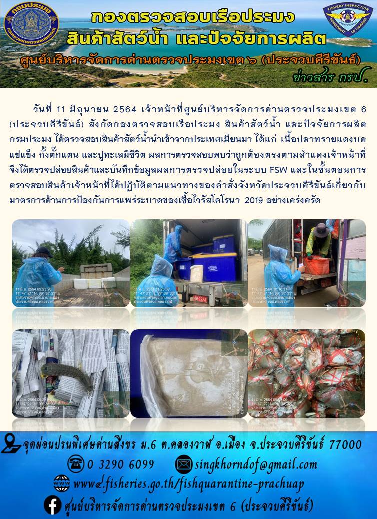สินค้าสัตว์น้ำนำเข้าจากประเทศเมียนมา..คลิก