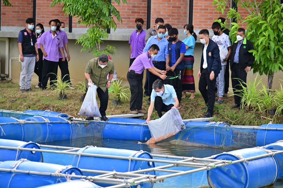 มอบพันธุ์ปลานิลแดง จำนวน 1,000 ตัว และอาหารปลา เพื่อสนับสนุนโครงการทฤษฎีใหม่ตามหลักปรัชญาของเศรษฐกิจพอเพียง..คลิก