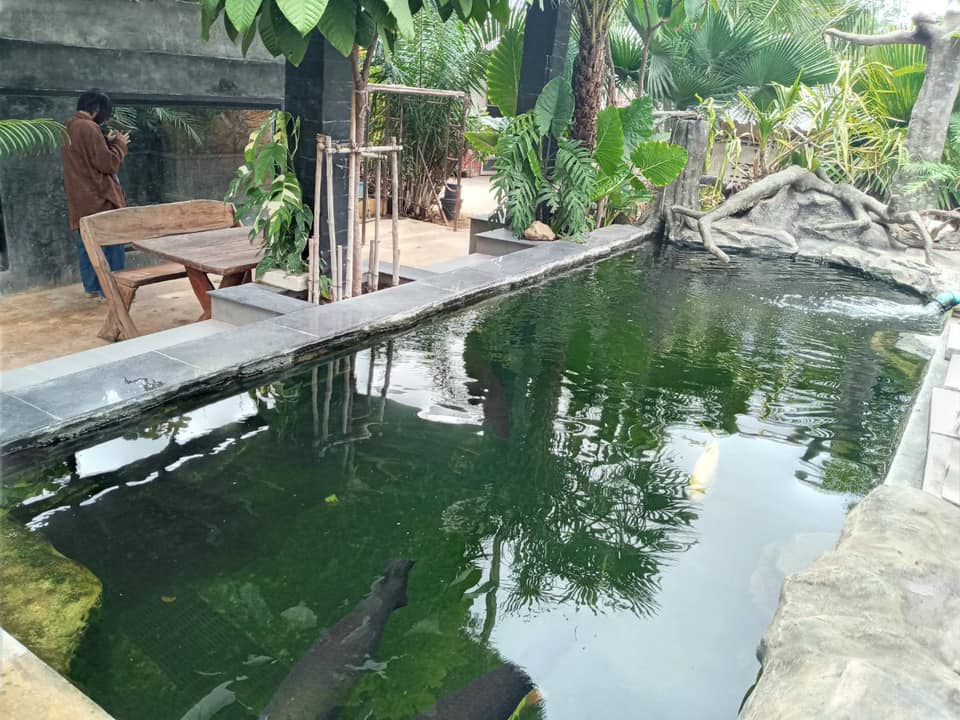 เข้าตรวจฟาร์มจระเข้ ประจำปี 2564 อำเภอโพธาราม..คลิก