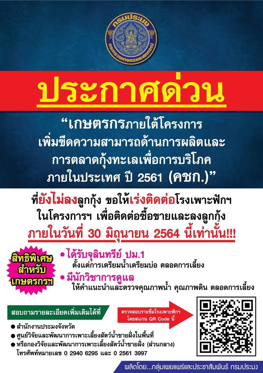 ประกาศด่วน !!! เกษตรกรภายใต้โครงการเพิ่มขีดความสามารถด้านการผลิตและการตลาดกุ้งทะเลเพื่อการบริโภคภายในประเทศ ปี 2561 (คชก.) ที่ยังไม่ลงลูกกุ้ง ขอให้เร่งติดต่อโรงเพาะฟักเพื่อลงลูกกุ้งภายในวันที่ 30 มิถุนายน 2564 นี้ เท่านั้น!!!!..คลิก